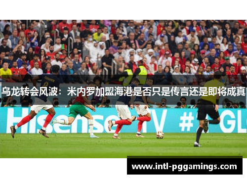 乌龙转会风波:米内罗加盟海港是否只是传言还是即将成真 乌龙转会风波:米内罗加盟海港是否只是传言还是即将成真