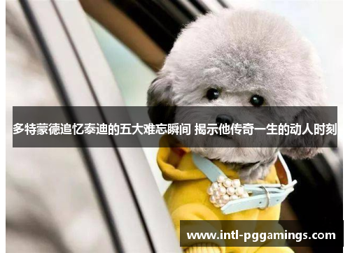 多特蒙德追忆泰迪的五大难忘瞬间 揭示他传奇一生的动人时刻 多特蒙德追忆泰迪的五大难忘瞬间 揭示他传奇一生的动人时刻