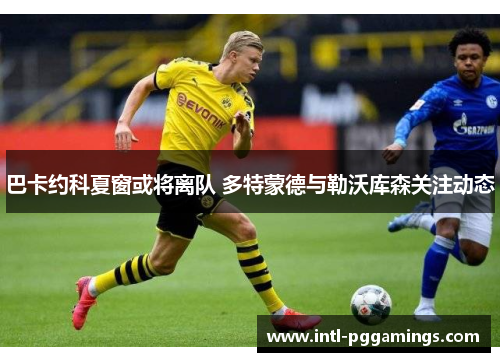巴卡约科夏窗或将离队 多特蒙德与勒沃库森关注动态