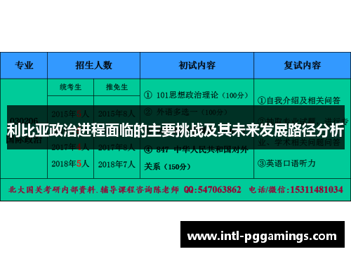 利比亚政治进程面临的主要挑战及其未来发展路径分析