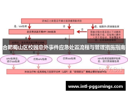 合肥蜀山区校园意外事件应急处置流程与管理措施指南 合肥蜀山区校园意外事件应急处置流程与管理措施指南