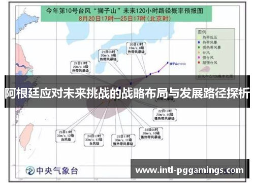 阿根廷应对未来挑战的战略布局与发展路径探析