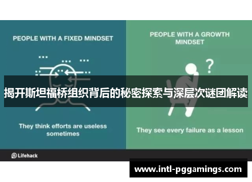揭开斯坦福桥组织背后的秘密探索与深层次谜团解读 揭开斯坦福桥组织背后的秘密探索与深层次谜团解读
